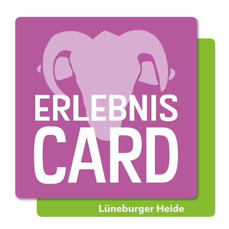 Ferienwohnung Koehler Bispingen Eksteriør billede
