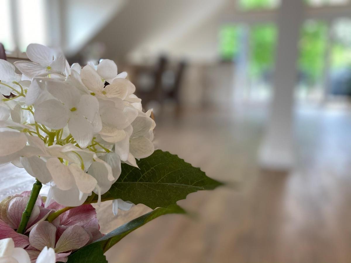 Ferienwohnung Koehler Bispingen Eksteriør billede